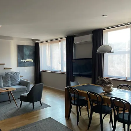 Maironis 2 - Grand Apartment In The Heart Of Kaunas Kaunas