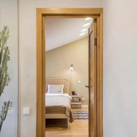Apartment Maironis 2 - Grand Apartment In The Heart Of Kaunas *