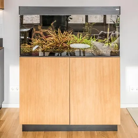 Maironis 2 Apartmán