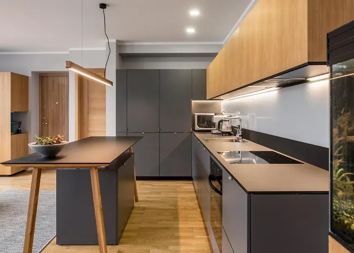 Maironis 2 شقة كاوناس