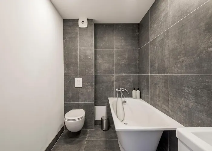 Maironis 2 דירה *