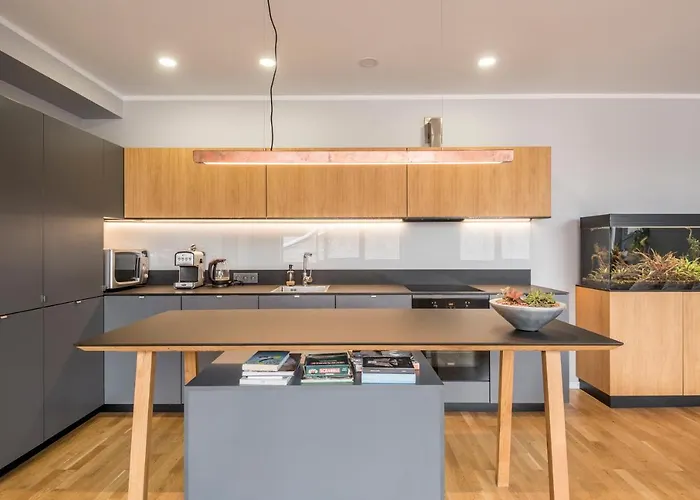 Maironis 2 דירה קובנה